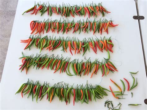 How To Dry Chillies 3 Easy Ways The Middle Sized Garden Gardening