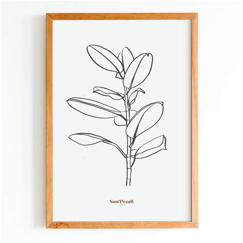 Rubber Tree Plant Wall Art Rubber Tree Plant Plant Drawing Tree Wall