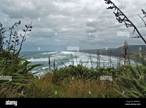 Muriwai Beach New Zealand Stock Photo Alamy