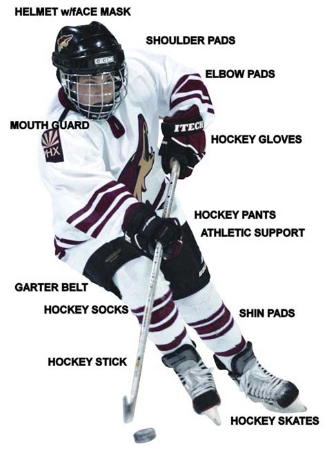 Hockey Gear Size Chart