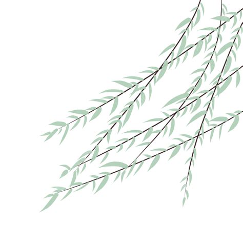 Willow Png Image Cartoon Spring Willow Material Willow Branch Spring