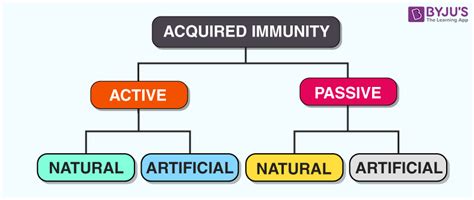 Immunity Explore About Immunity And Immune System