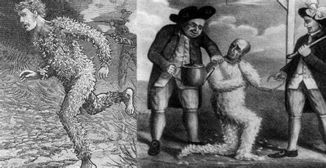 The Brutal History Behind Tarring And Feathering Tarring And