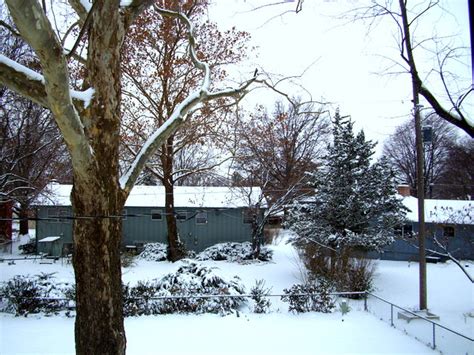 Winter Wonderland Backyard After A Snowstorm Whitneycurella Flickr