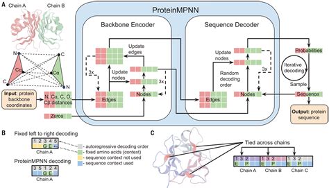 Robust Deep Learningbased Protein Sequence Design Using Proteinmpnn