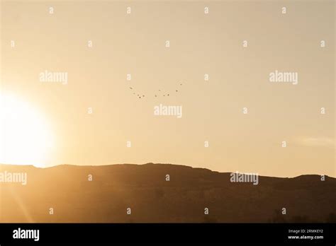 Witness the tranquil beauty of Egypt as the golden sun rises over the