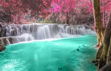 Wallpaper Autumn Forest River Waterfall Forest River Landscape