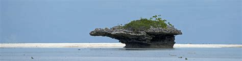 Aldabra Atoll Entry Timings Best Time To Visit Aldabra Atoll Seychelles
