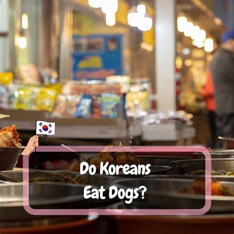 Do Koreans Eat Dogs The Shocking Facts