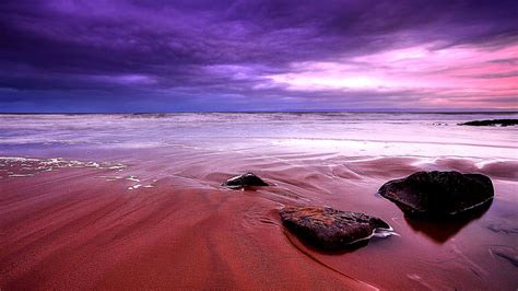 Purple Beach Desktop Wallpaper