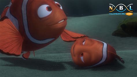 Download Phim Hoạt Hình Đi Tìm Nemo Finding Nemo Full Hd 1080p