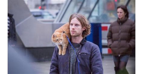 A Street Cat Named Bob Movie Review Common Sense Media
