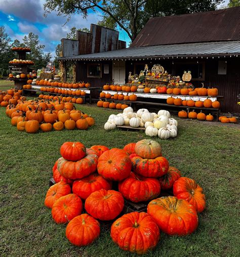 Kadee Farm | Greenville, TX - Official Website