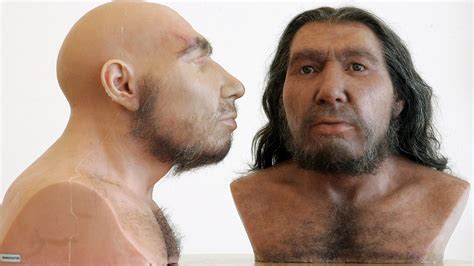 Urzeit: Neandertaler - Urzeit - Geschichte - Planet Wissen