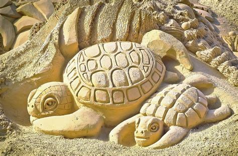 Turtle Sand Castle Sculpture On The Beach 999 Photograph By Ricardos