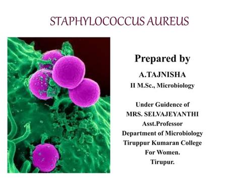 Staphylococcus Aureus Ppt