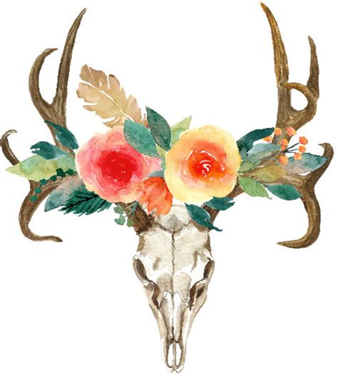 Deer Clipart Bohemian Art Boho Deer Deer Skull With Etsy