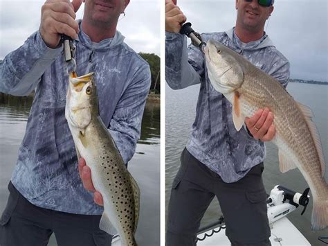 Clearwater Flats Fishing Conditions Skinny Water Fishing Charters