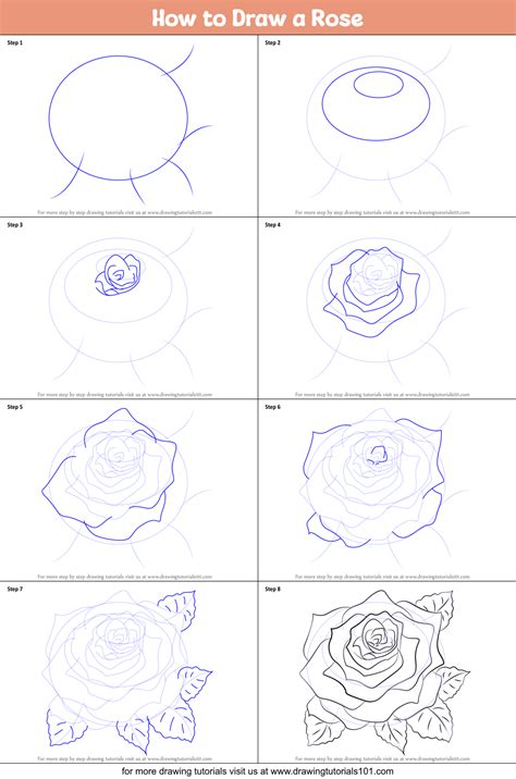 How To Draw Rose Plant Step By Step Bornmodernbaby