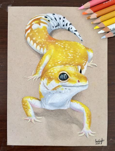 I Drew A Leopard Gecko With Prismacolors Hope You Like It Rdrawing