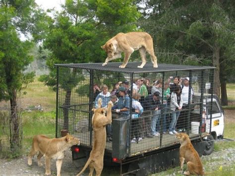 The Most Beautiful Zoos In The World Yallabook