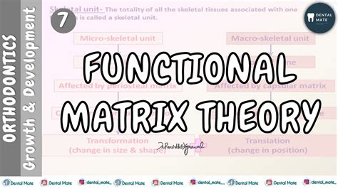 Functional Matrix Theory Theories Of Growth Dr Paridhi Agrawal