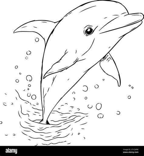 Dolphin Jumping Out Of The Water Vector Illustration On White