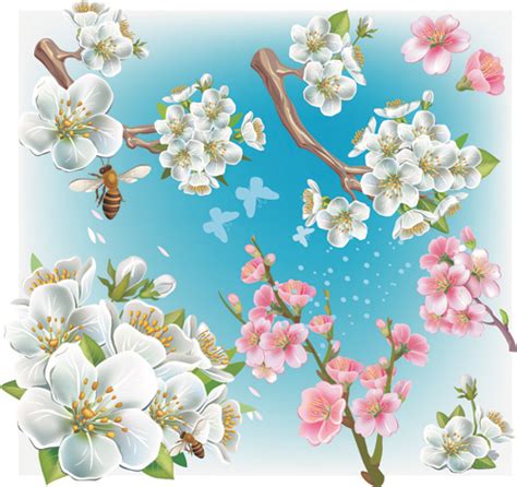 Japan Cherry Blossoms Free Vector Vectors Graphic Art Designs In