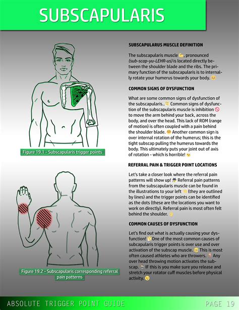 Pin On Trigger Points And Corresponding Referral Pain Patterns