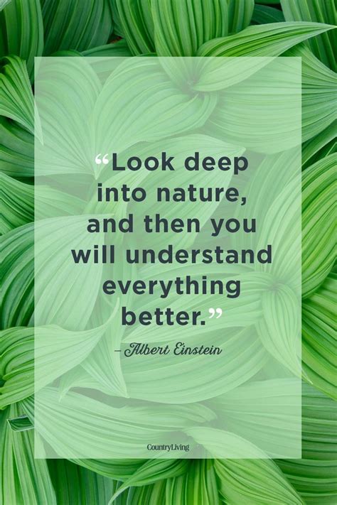 Beautiful Quotes About The Power Of Nature Nature Quotes Nature