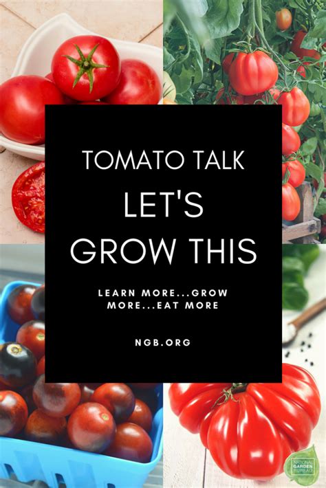 Tomato Talk Lets Grow This National Garden Bureau