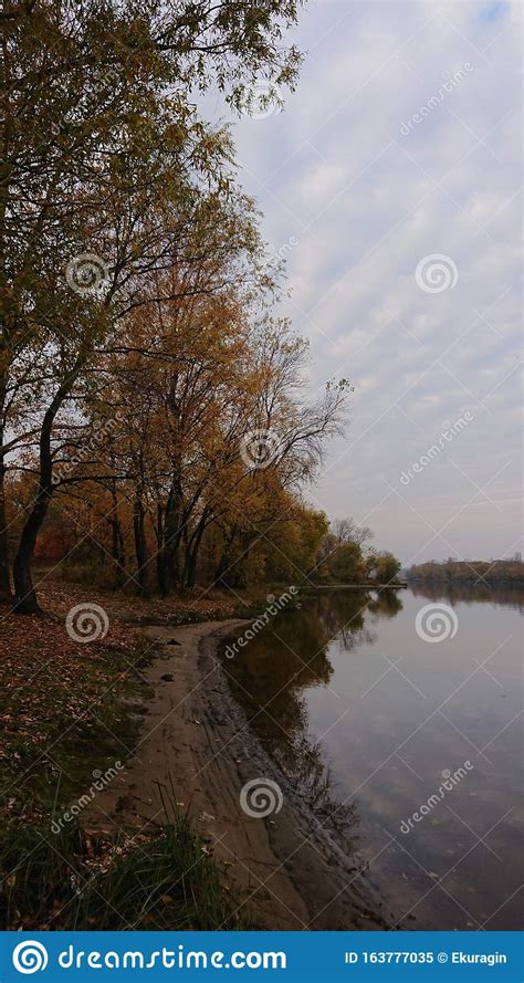 Autumn Riverbank Stock Image Image Of Nature Walk 163777035