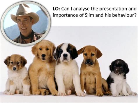 Slim Of Mice And Men Teaching Resources