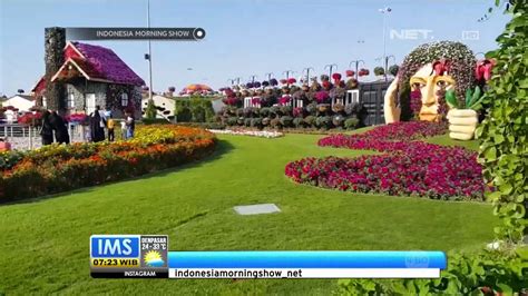 Bunganya nampaknya seperti kelopak raksasa dan bau yang keluar dari bunga ini sangat menyengat mirip bau daging busuk. Taman Bunga Terbesar Dunia di Dubai - YouTube
