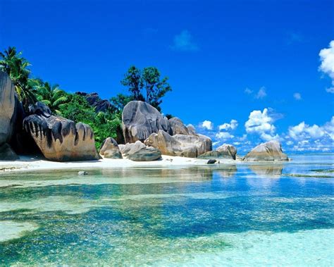 Free Download Beach Screensavers And Wallpapers Tropical Beach With