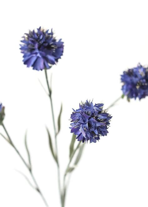 Artificial Cornflower Flower In Blue Silk Flowers Wedding Artificial