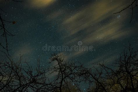 3747 Full Moon Night Sky Winter Photos Free And Royalty Free Stock