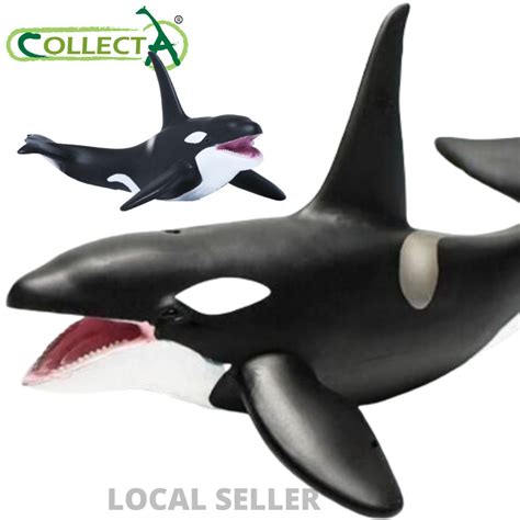 Orca Killer Whale Collecta 88043 Sea Life Animal Action Figures