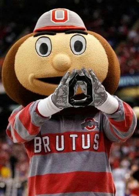 54 Best Brutus Images Ohio State Buckeyes Ohio State University