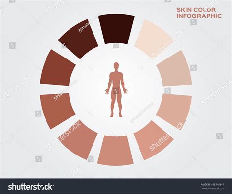 Skin Color Index Infographic Vector Dark Stock Vector Royalty Free
