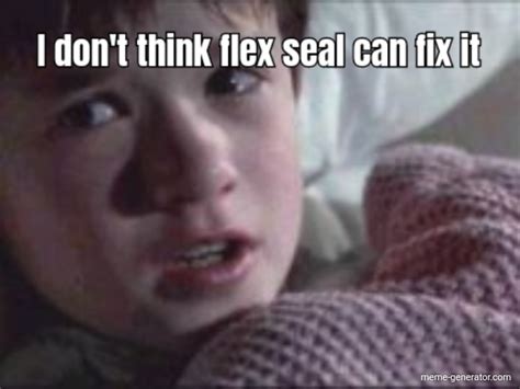 I Don T Think Flex Seal Can Fix It Meme Generator