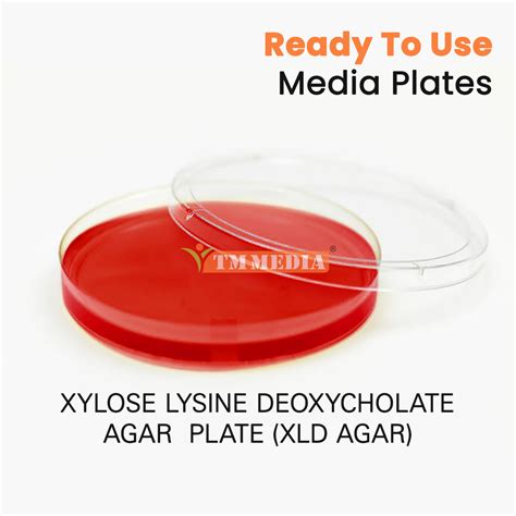 Tmp 024 Xylose Lysine Deoxycholate Agar Plate At Rs 2765piece Agar