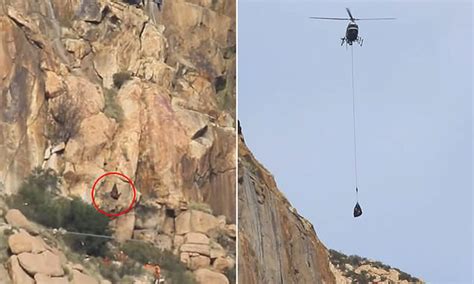 Mountaineers Witness Solo Climber Fall 200 Feet To His Death From El