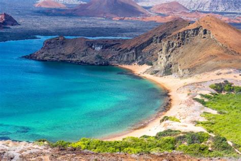 Deluxe Galapagos Islands Tour From Quito Zicasso