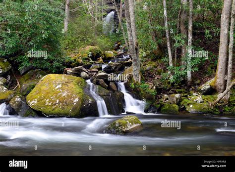 Waterfall Falls River Flow Flows Flowing Middle Prong Of The