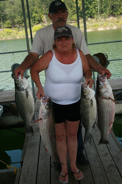 Maybe you would like to learn more about one of these? Hummingbird Hideaway Resort on Norfork Lake: Norfork Lake ...