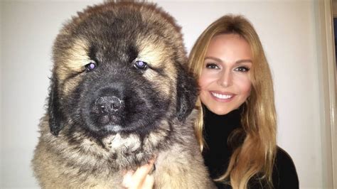 Caucasian Ovcharka Russian Bear Dog Puppy Kharita Blog