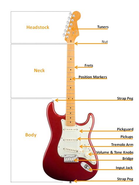 The parts of a guitar. Electric Guitar Buyers Guide | AmericanMusical.com