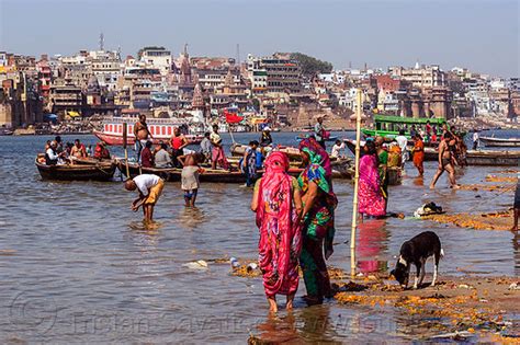 hindu pilgrims having holy dip in ganges river varanasi india