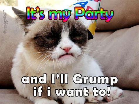 Grumpy Cat Lol Grumpy Cat Grumpy Cat Humor Grumpy Cat Quotes